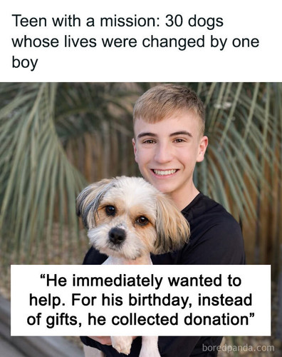 boy shelter dogs project freedom ride.jpg