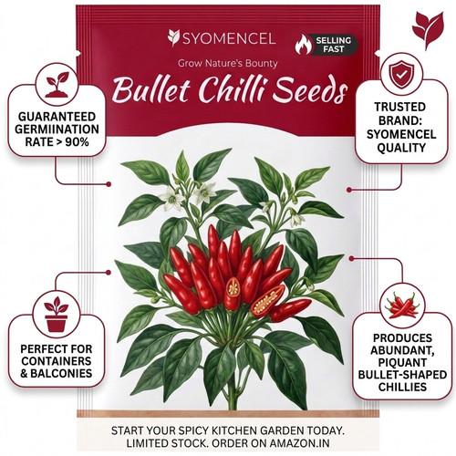 Gemini Generated Image 281ghi281ghi281g.jpg