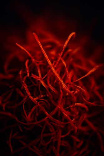 3e1c6a9d156e.png