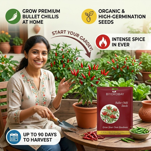 Gemini Generated Image r0ff24r0ff24r0ff.jpg