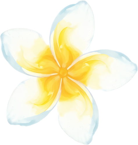 奇迹素材 (24).png