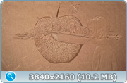 thumb 1423b6a278d9742d11068c76b7d6154f.png