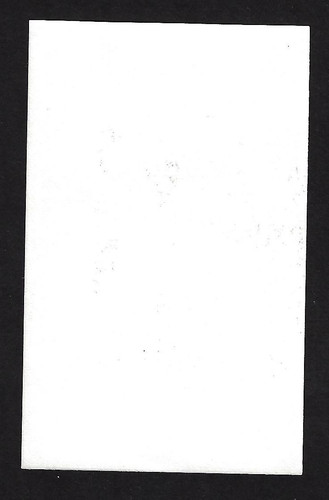 19a.jpg