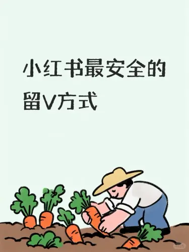 b2170889a06e.webp