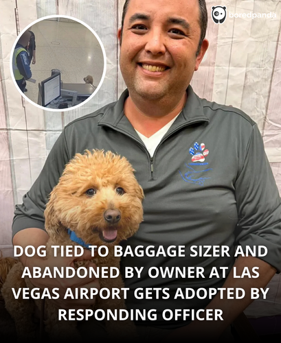 119. Woman abandons dog at airport main focus on the reasons why she decided to leave the dog, happy.png