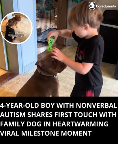4 YEAR OLD BOY WITH NONVERBAL AUTISM SHARES FIRST TOUCH WITH FAMILY DOG IN HEARTWARMING VIRAL MILEST.png