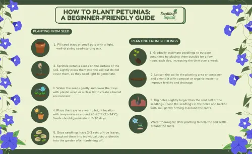 66d14d366547a5e6a602d5ea 66d14c82d5b94bc0e2e0ad3a How20Plant2020Beginner Friendly%20Guide.webp