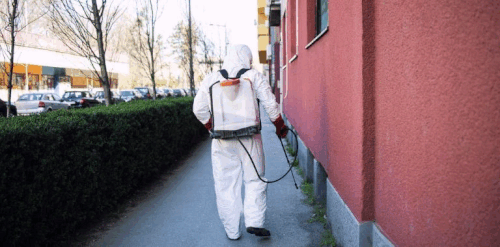 Pest Control Services.gif