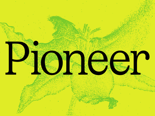 pioneer fin ai 1024x768desktop 36bc91 (1).png