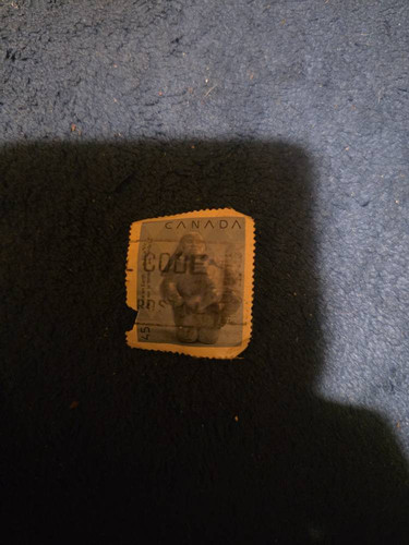 0afcf168b2da.jpg
