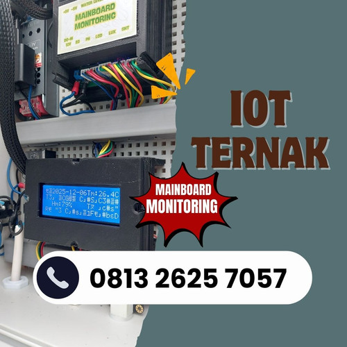 IoT (4).jpg