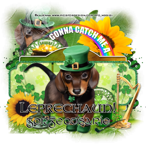 ChasingLeprechaunsGorgeousArie vi.png