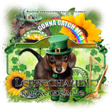 ChasingLeprechaunsGorgeousArie vi