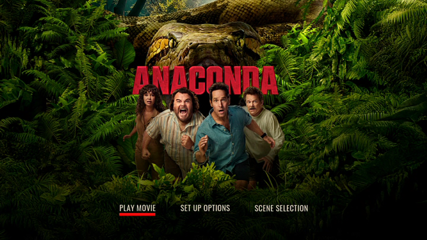 vlcsnap 2026 03 03 17h16m57s118