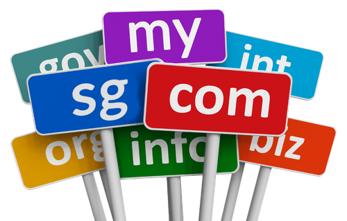 Domain Registration 1.png