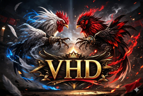 Gemini Generated Image z9drq9z9drq9z9dr.png