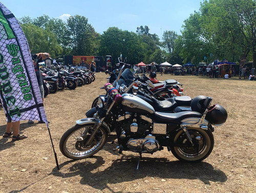 495351065 10230338545422138 5600528292641484465 n.jpg