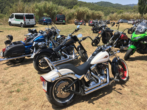 489149431 10230047666110337 5684558964289295662 n.jpg