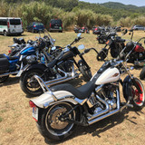 489149431 10230047666110337 5684558964289295662 n