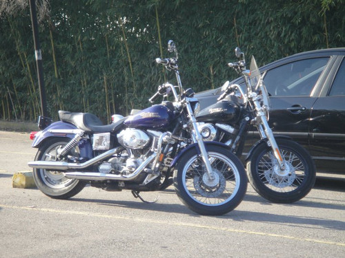 513827014 10231128197402944 5588916742724122494 n.jpg