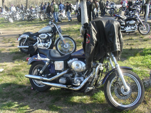 515246959 10231227414883319 3589202323990040108 n.jpg