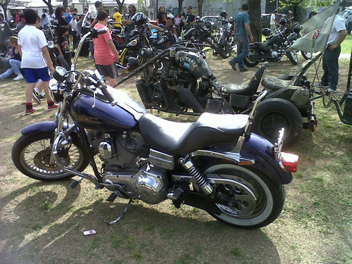 515310735 10231248790337692 7742786034685582716 n.jpg