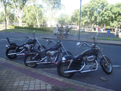 513714140 10231187057514410 1272252527920410096 n.jpg