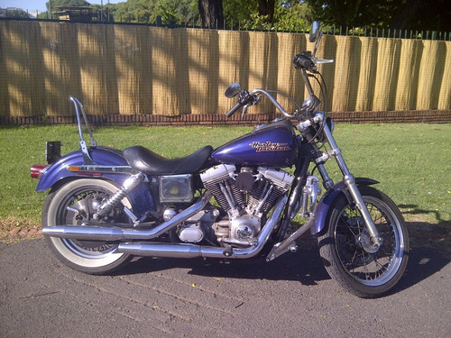 489760226 10230047666870356 7988946528344361322 n.jpg