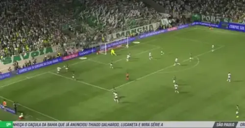 opt radFEEE1.webp
