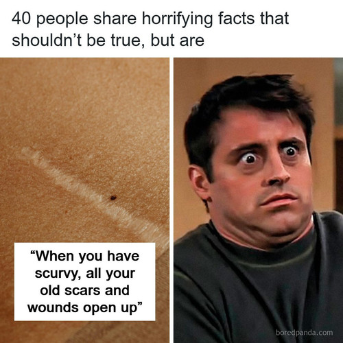 scary facts.jpg