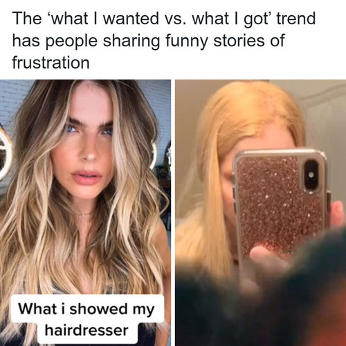 what people wanted vs what they got tiktok.jpg