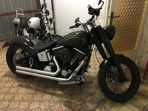 489216411 10230047666950358 4919266456654883798 n.jpg