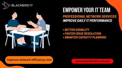 What are the benefits of professional network services for IT teams?.png