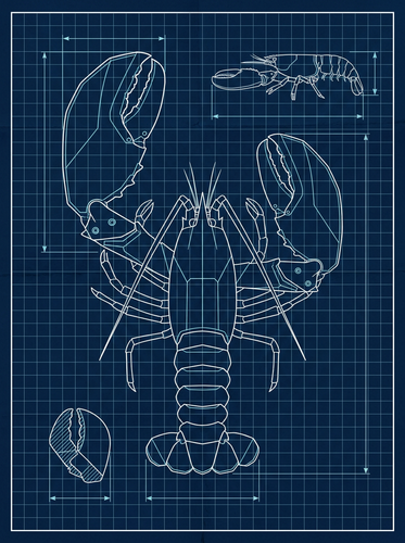 d72f8d170601.png