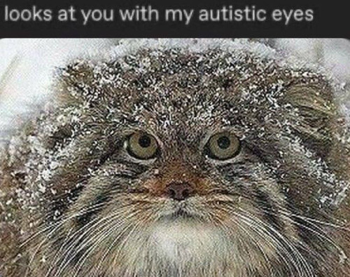 source.jpg