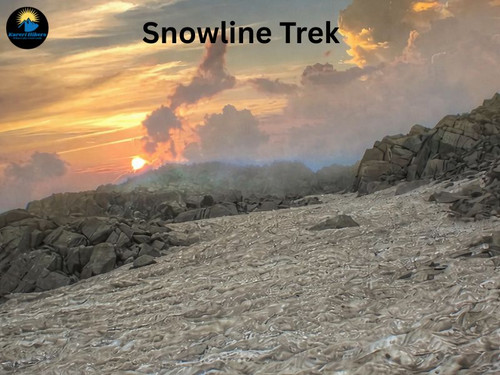Winter Wonderland on Snowline Trek McLeodGanj.jpg