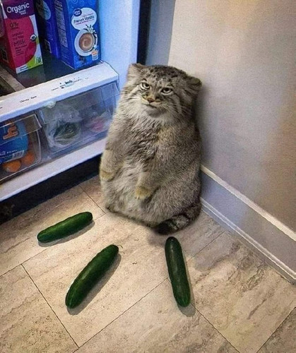 source.jpg