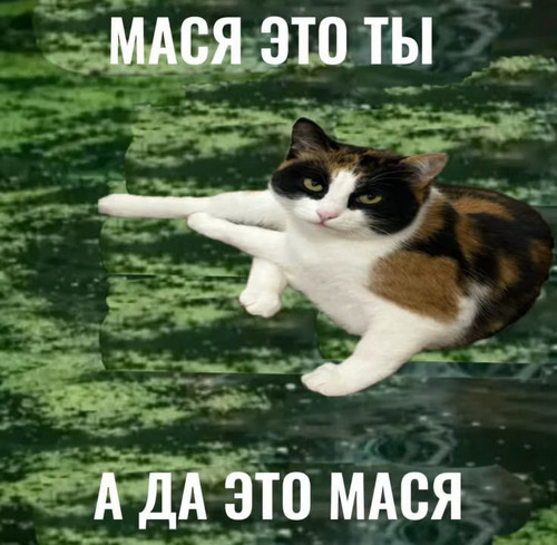 source.jpg