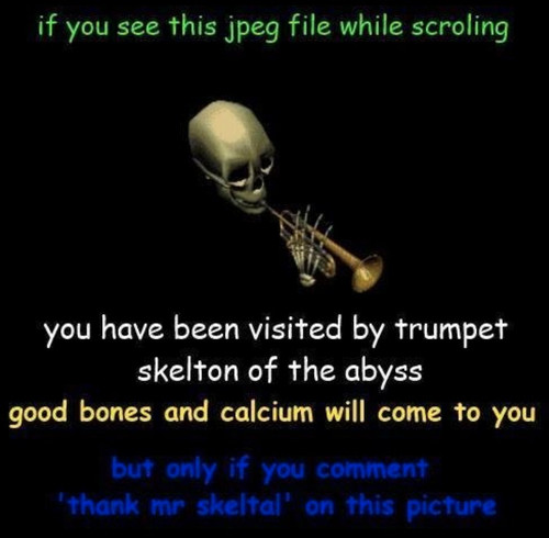 dootdoot.jpg
