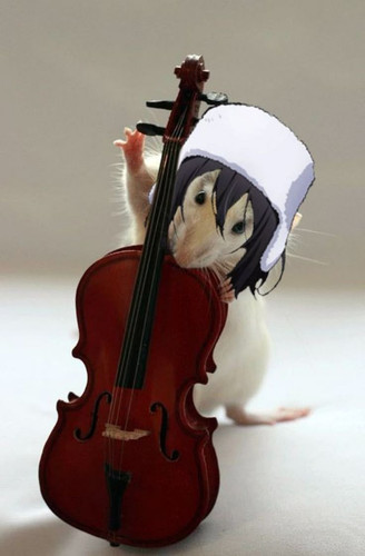 source.jpg