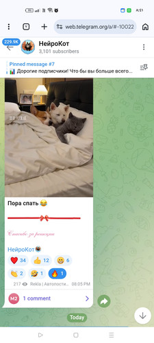 Screenshot ٢٠٢٦ ٠٣ ٠٣ ٠٨ ٤١ ٢٠ ٣١ 40deb401b9ffe8e1df2f1cc5ba480b12.jpg