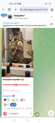 Screenshot ٢٠٢٦ ٠٣ ٠٣ ٠٨ ٤١ ٣٨ ٨٣ 40deb401b9ffe8e1df2f1cc5ba480b12.jpg