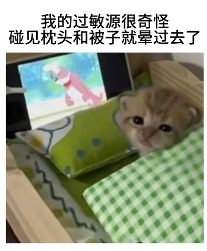 12fc8b43e1ca6e9e11229c72b0536a9a 720.png