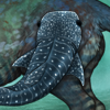 wha;leshaks.png