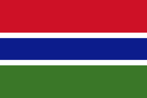 Flag of The Gambia.svg.png