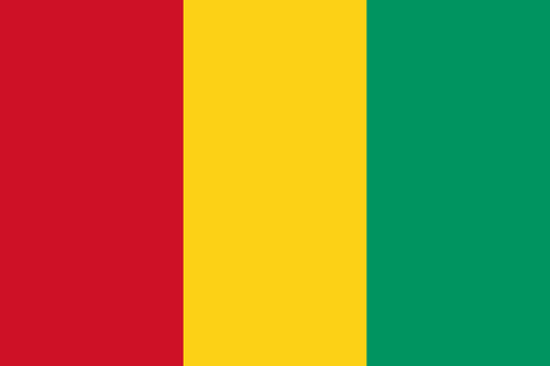 Flag of Guinea.svg.png