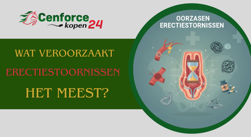 erectiestoornissen oorzaak.png