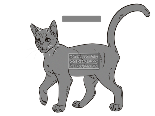 IMG 5535.png