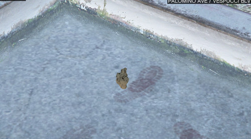 NVIDIA Overlay htBBJZDNUo.jpg