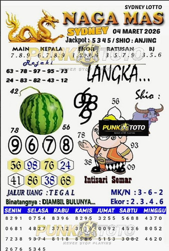 sy8.jpg